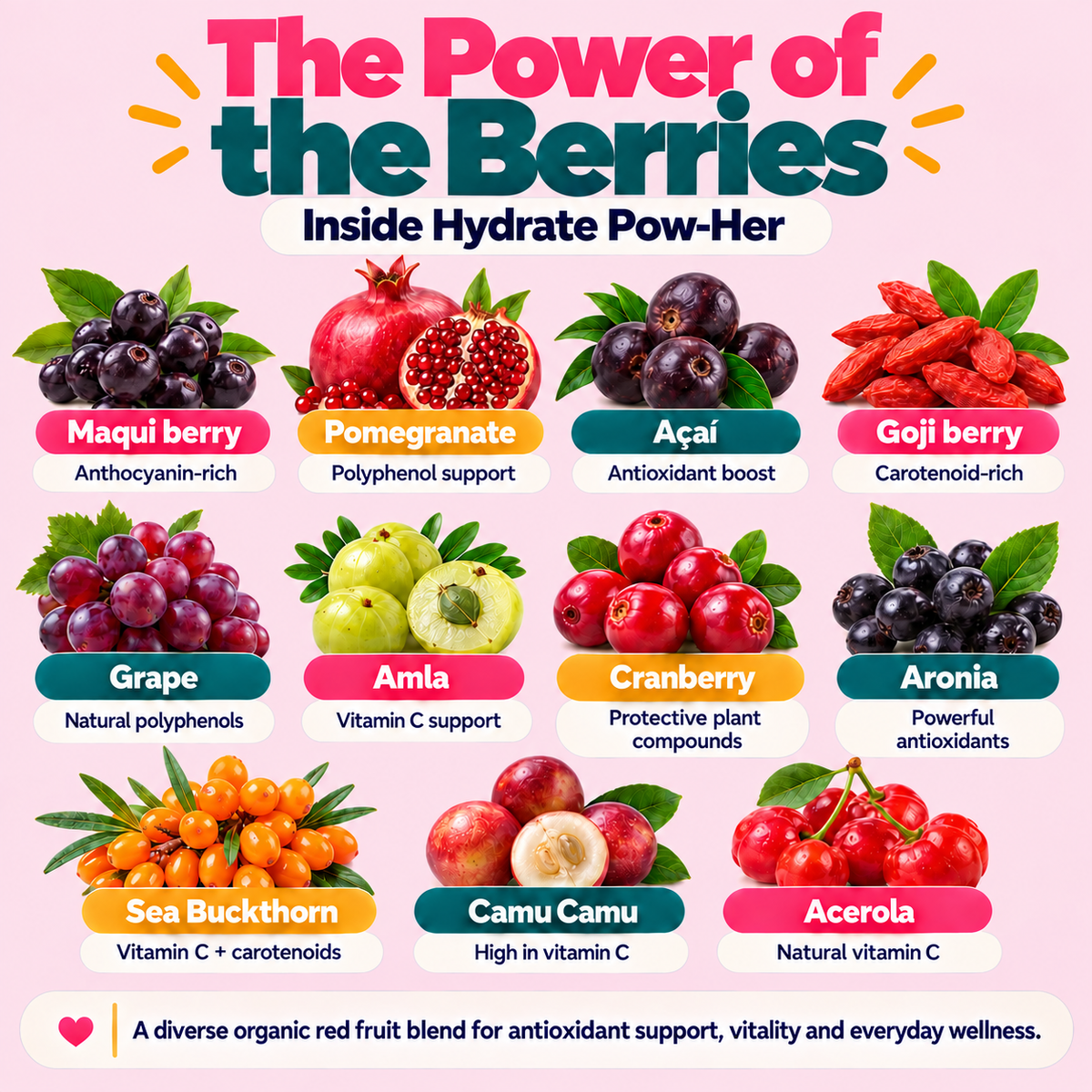 Rooibos Berry Superfood Hydrate Pow-Her: Formulated For Women